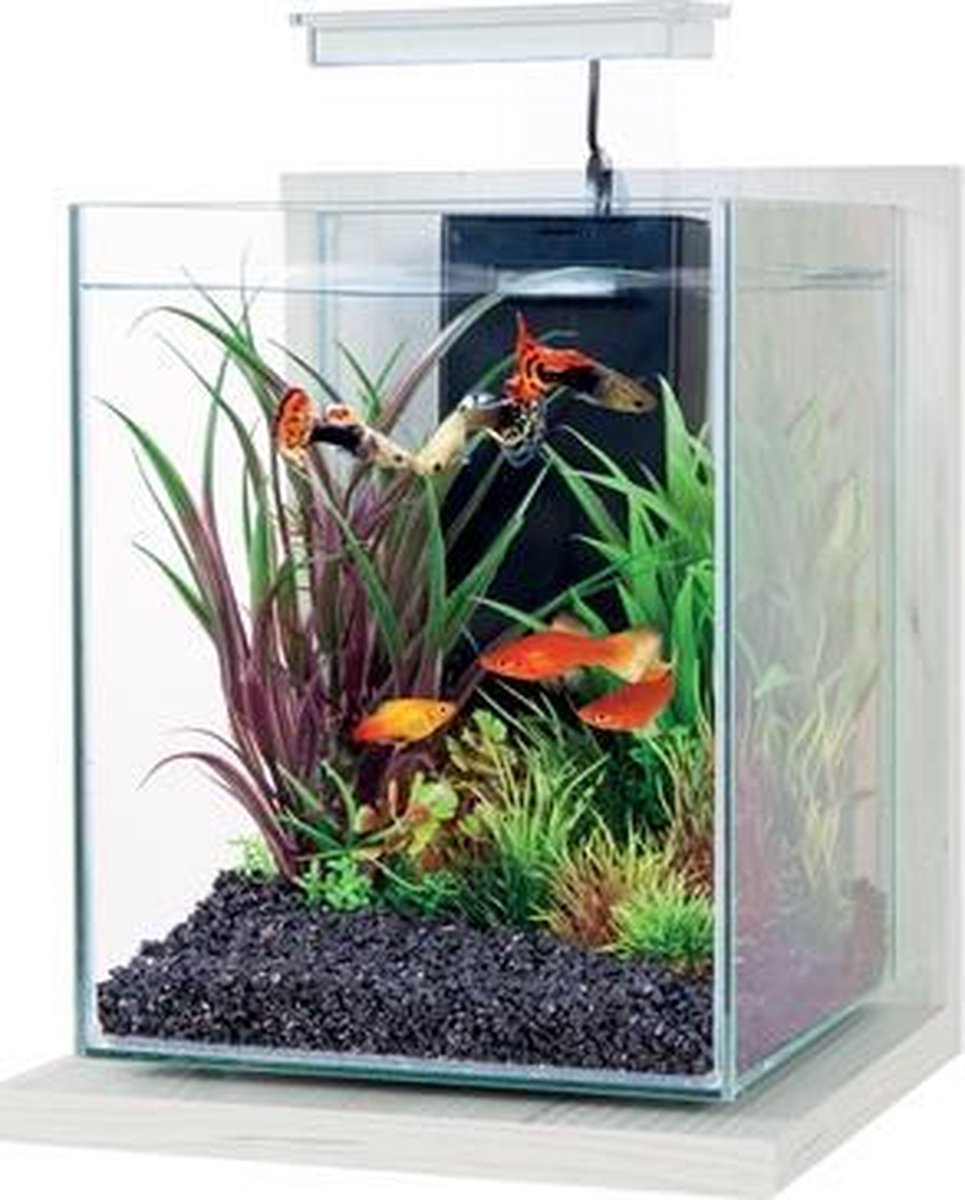 Zolux aquarium kit jalaya antique wit - 22x23x34