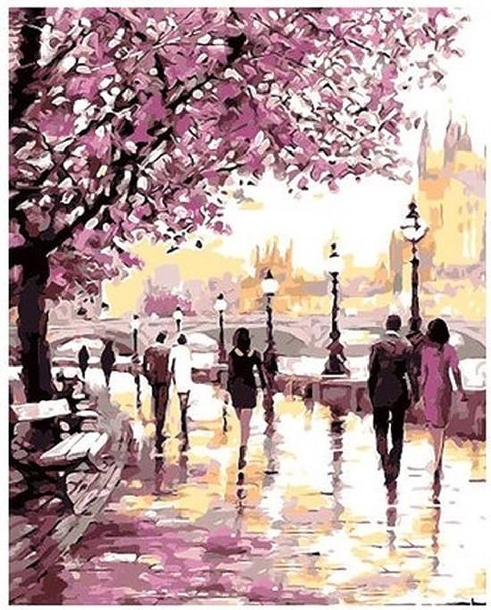 Schilderen op nummer volwassenen – 40 x 50 cm - Paint by number volwassenen – Nummer schilderen voor volwassenen - Hobby en creatief – Hobby materialen volwassenen - diy pakket volwassenen