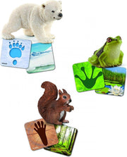Leerkaarten Wild Life Schleich (42474)