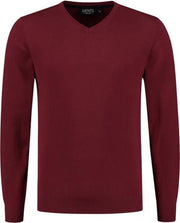 GENTS | Trui Heren V-neck katoen rood 0128 Maat L