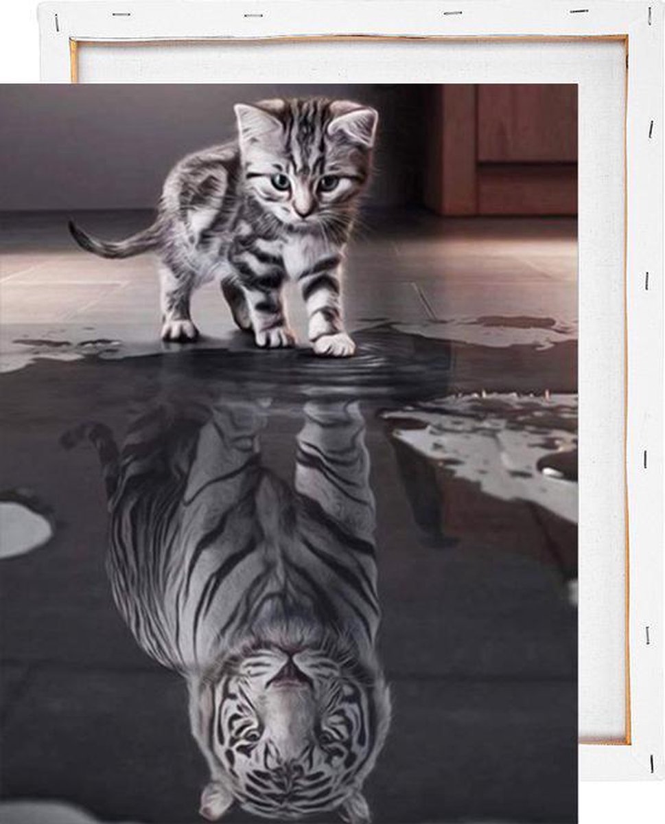 Kat en tijger reflectie - Schilderen op nummer - Met frame - 40x50 cm