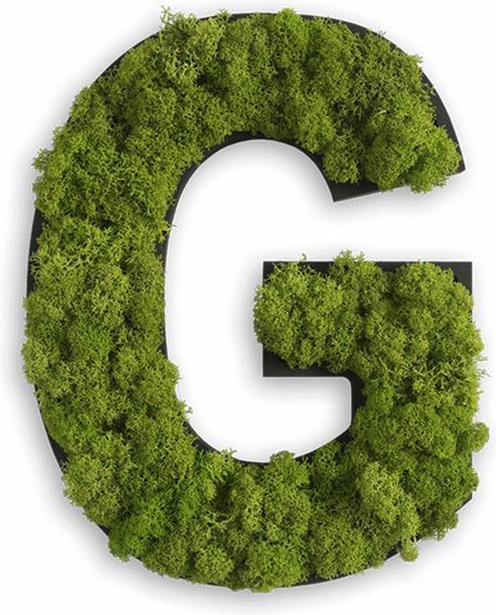 Stylegreen Alfabet letters A t/m Z - Reindeer moss - 25cm