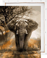 Olifant in schemering - Schilderen op nummer - Met frame - 40x50 cm