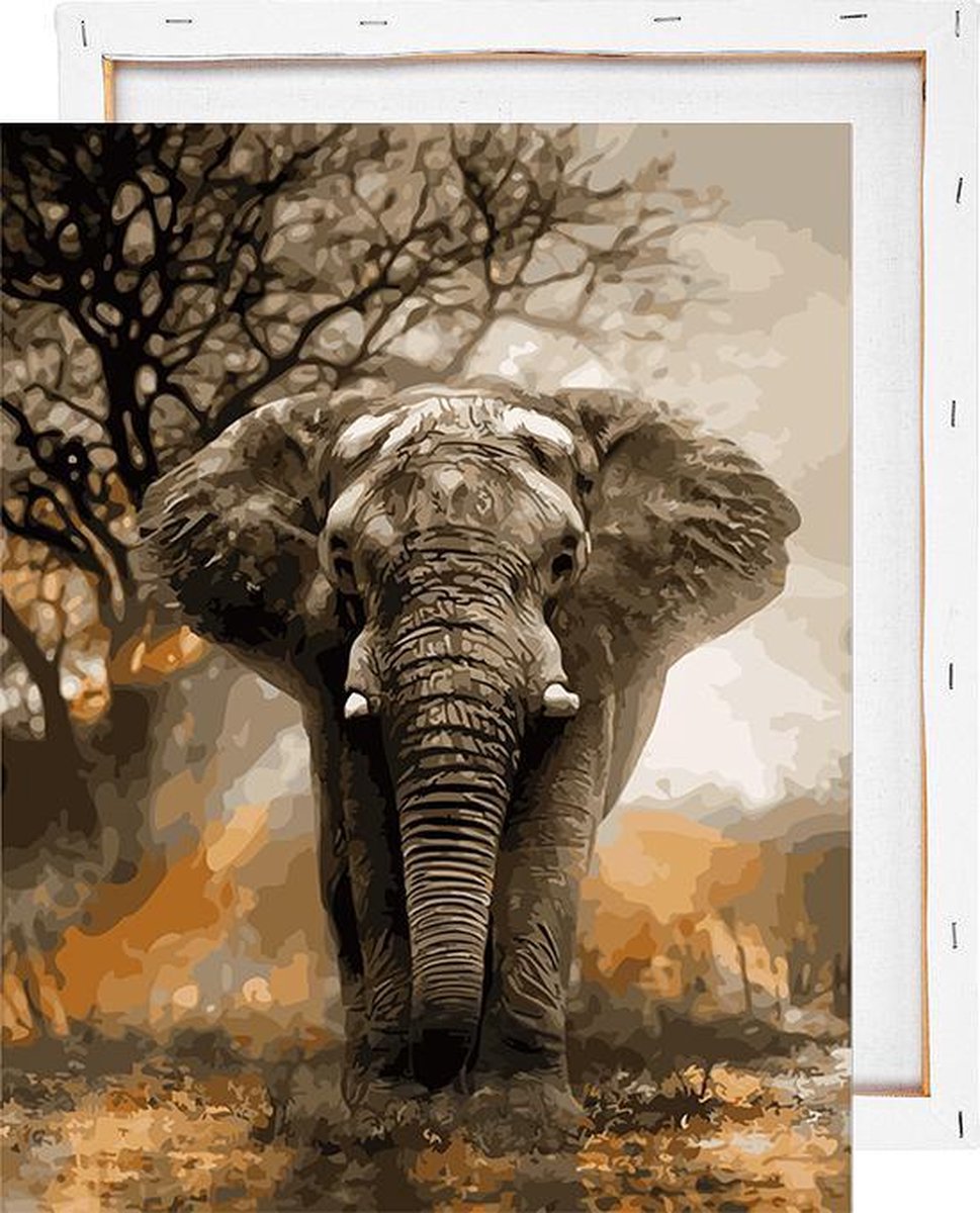 Olifant in schemering - Schilderen op nummer - Met frame - 40x50 cm