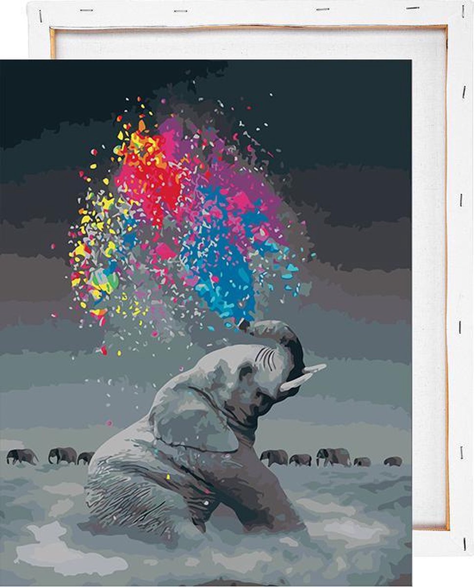 Olifant met kleuren - Schilderen op nummer - Met frame - 40x50 cm