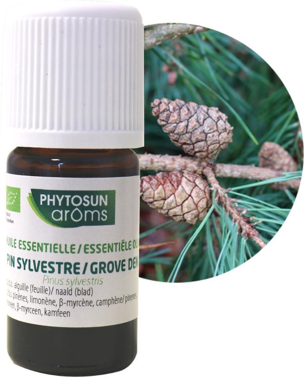 Phytosun Essentiële Olie Grove Den Bio – verzacht de luchtwegen 5ml