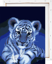 Tijgertje met vlinder - Schilderen op nummer - Met frame - 40x50 cm