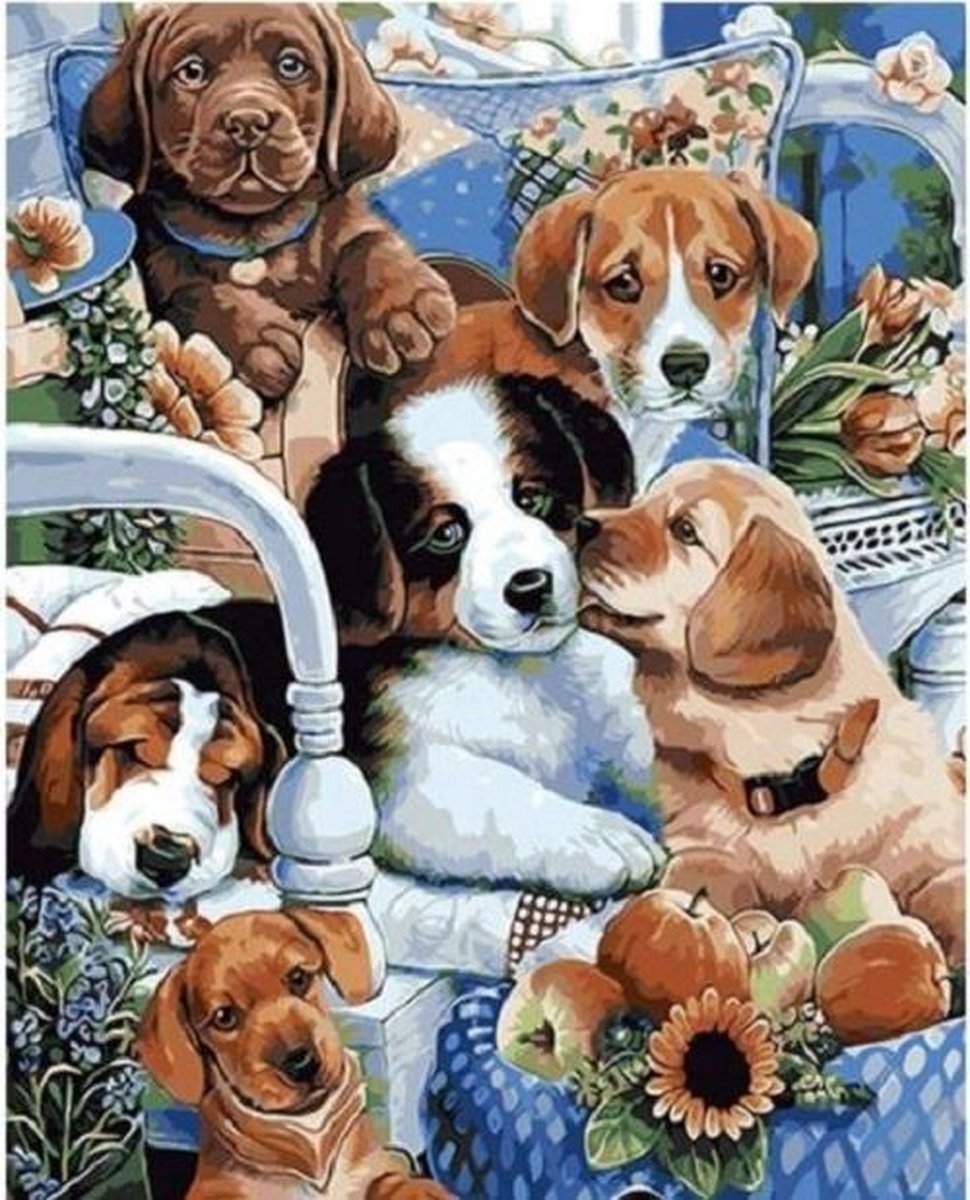 Paint By Numbers - Schilderen op Nummer - Knuffelende Puppy's op het Bankje - 50x40cm - Volwassenen & Kinderen - Stipco