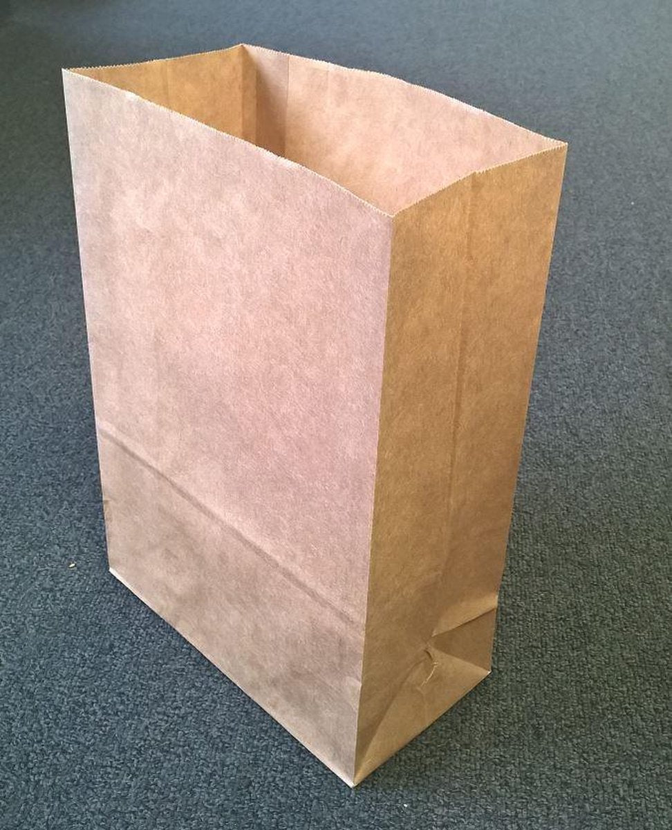 Eco Blokbodemzakken Papier 220x110x300mm - 100 st