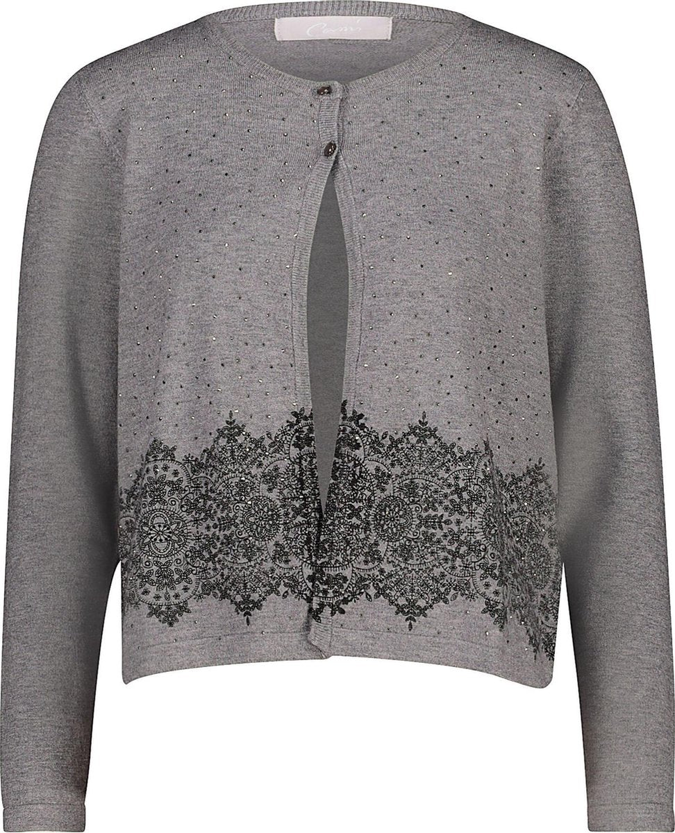 Cassis - Cardigan met strassteentjes en etnische motiefjes - Grijs