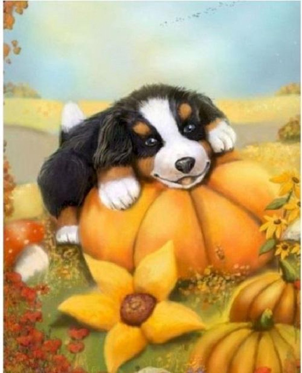 Paint By Numbers - Schilderen op Nummer - Schattige Puppy op enorme Pompoen - 50x40cm - Volwassenen & Kinderen - Stipco