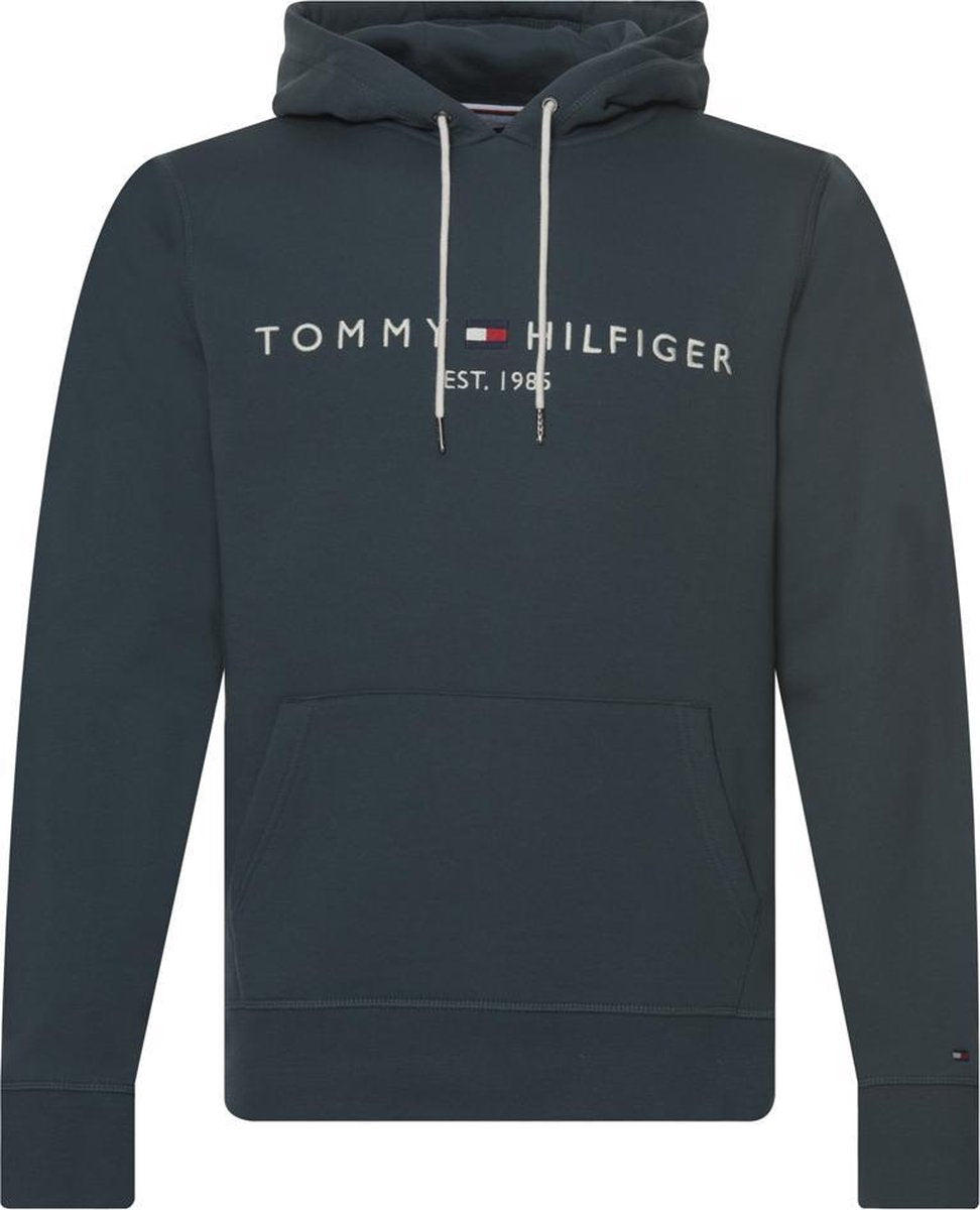 Tommy Hilfiger Menswear Hoodie Heren