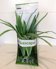 Fluval Aquascape Plant