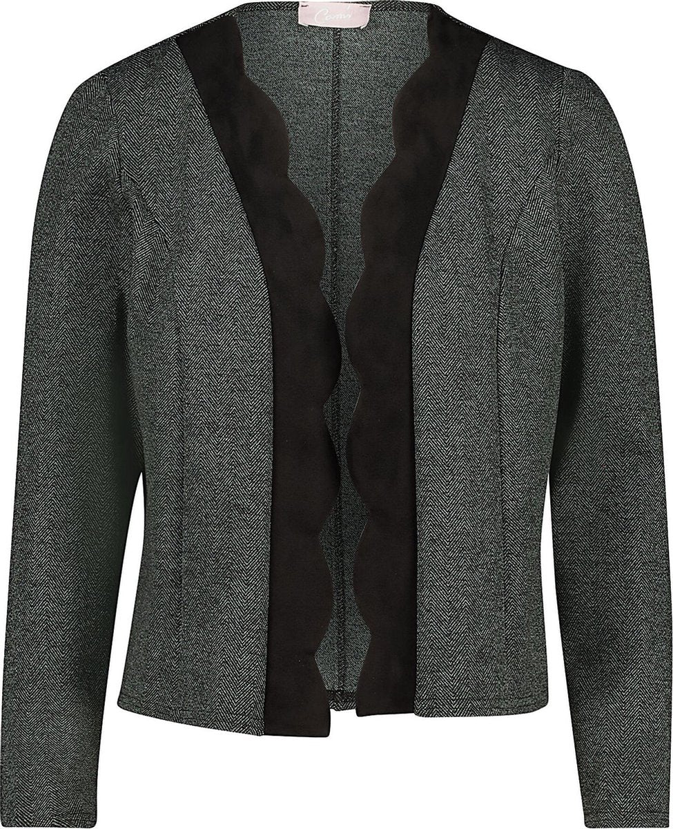 Cassis - Jasje in gefestonneerd jacquardtricot - Antraciet