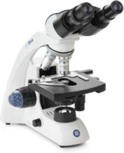 Euromex BioBlue 4260