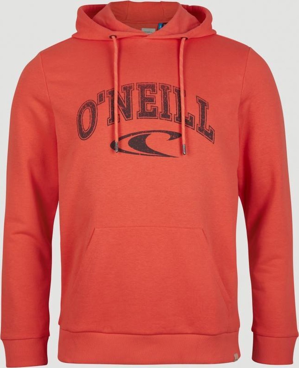 O'Neill State Trui Heren - Maat L