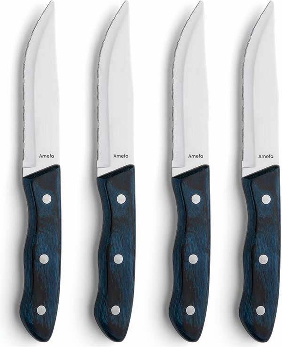 Amefa Hercule Steakmessenset - 4-delig - Blauw