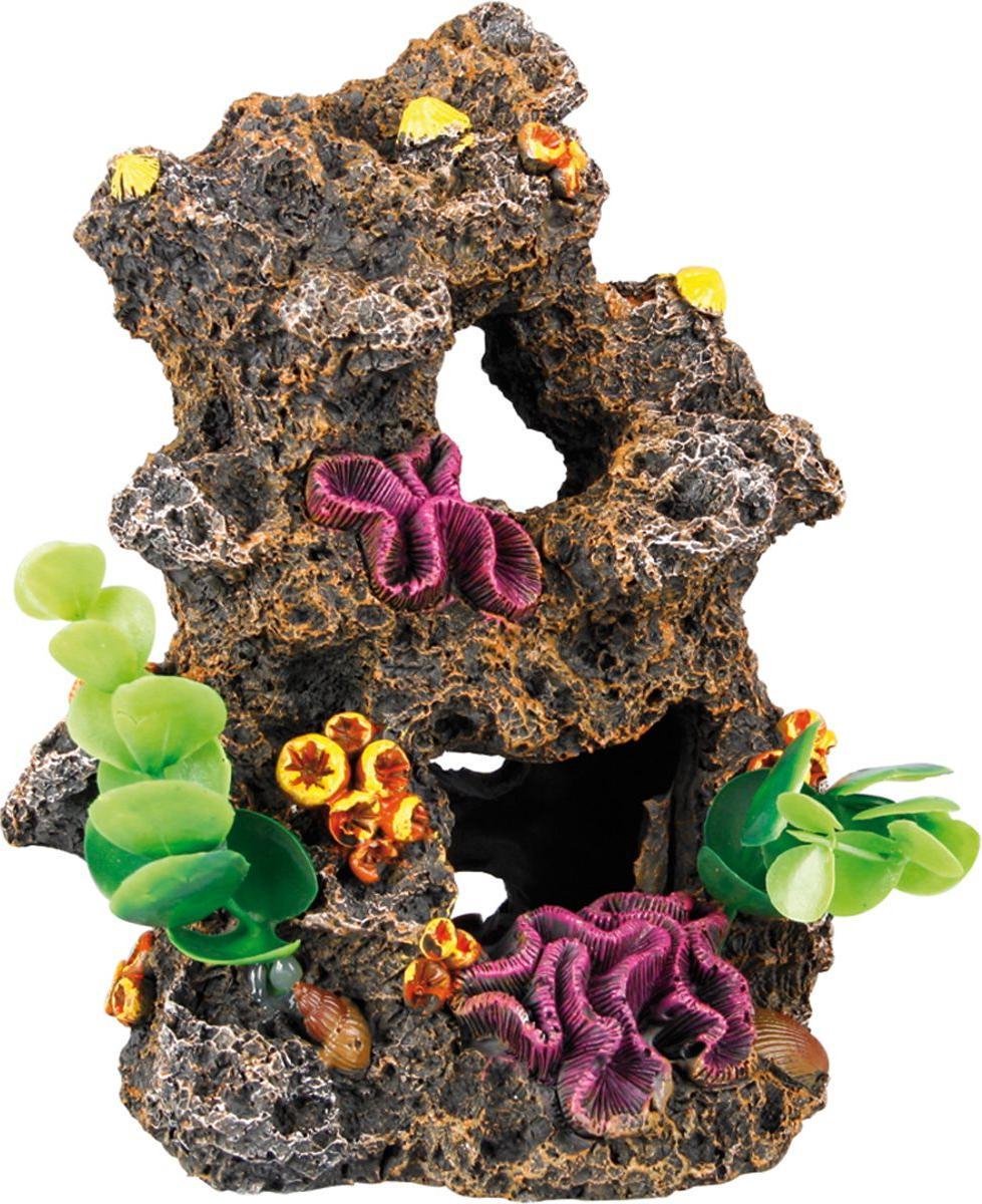 Aquarium decoratie Rif met Planten - 12 x 10 x 6