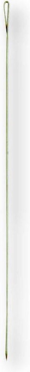 Aasnaald SST 12cm / 20 x stuks (10x2)