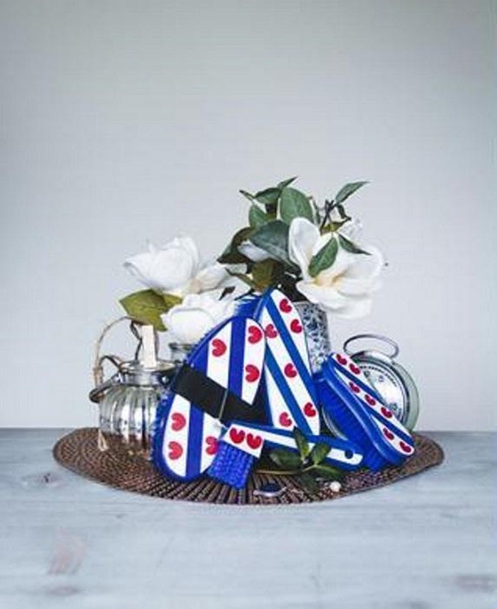 HB borstelset Friesch - set van 4