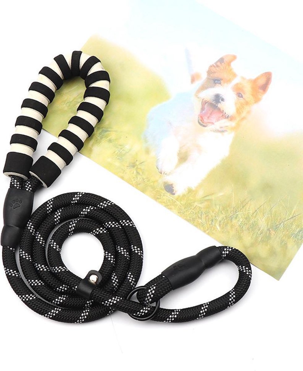 Hondenriem - Sliplijn - Cesar Millan - Trainings halsband- Zwart - Pixypet