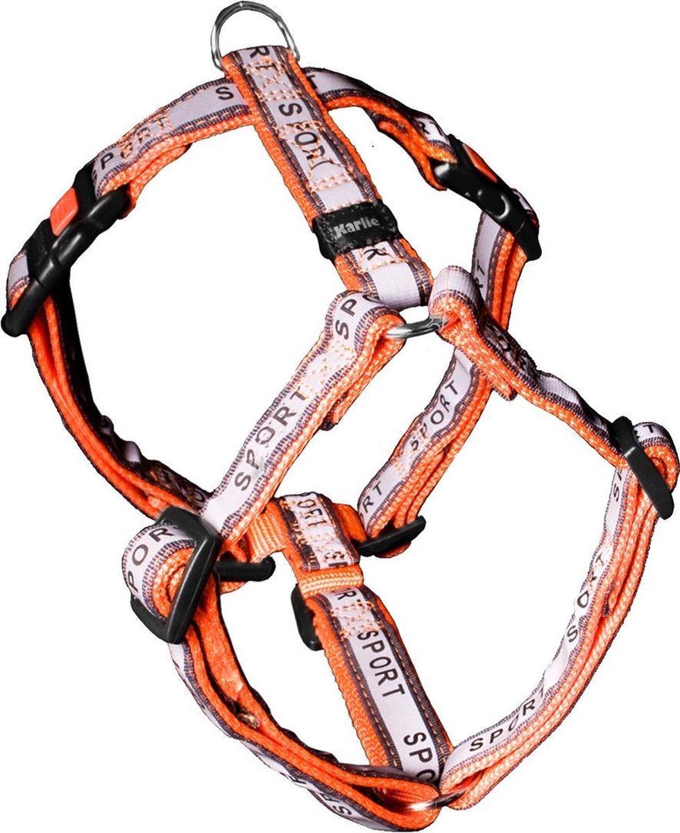 Art joy+ day & night harness