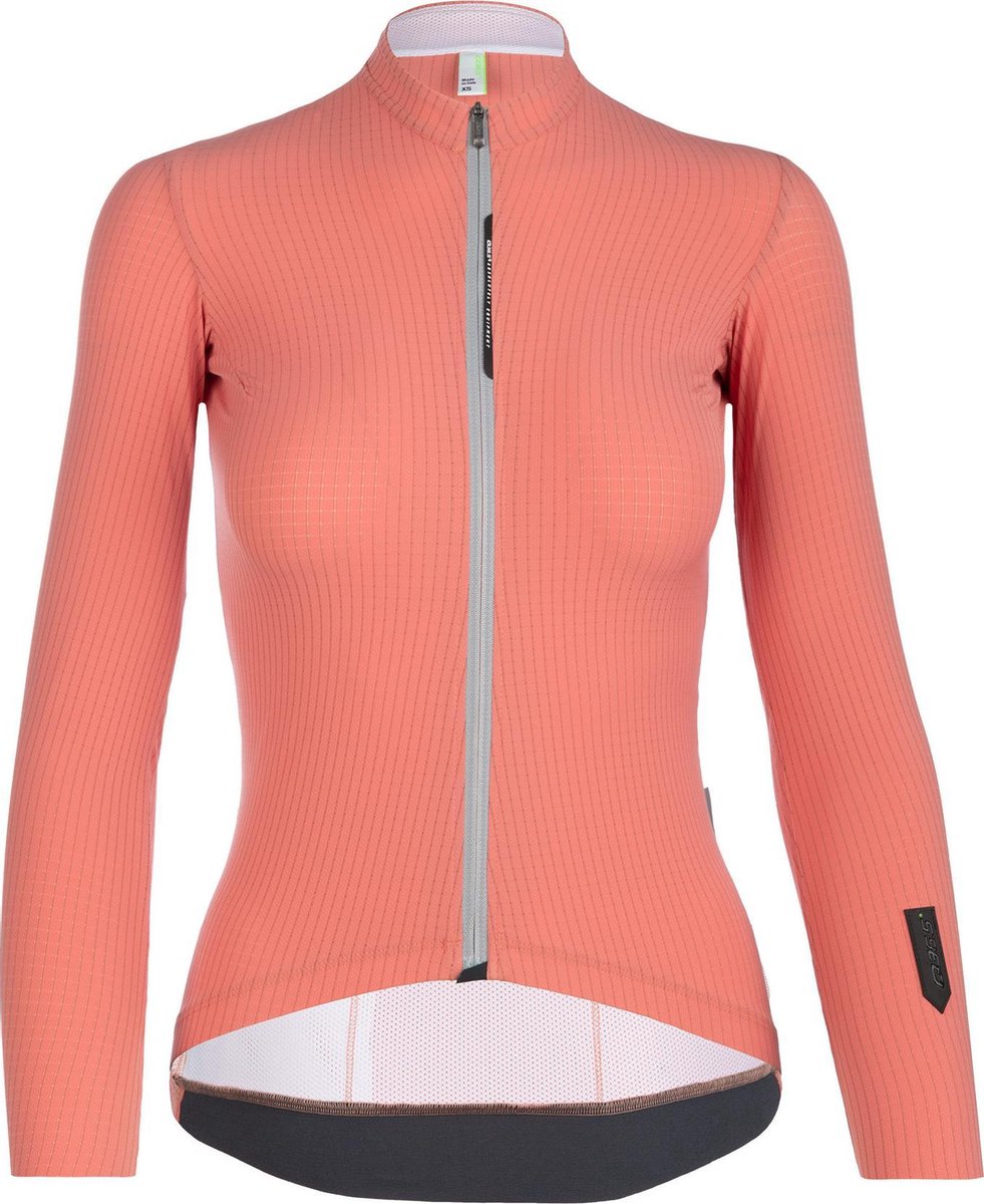 Q36.5 Dames Shirt korte mouwen Pinstripe X - Roos - L
