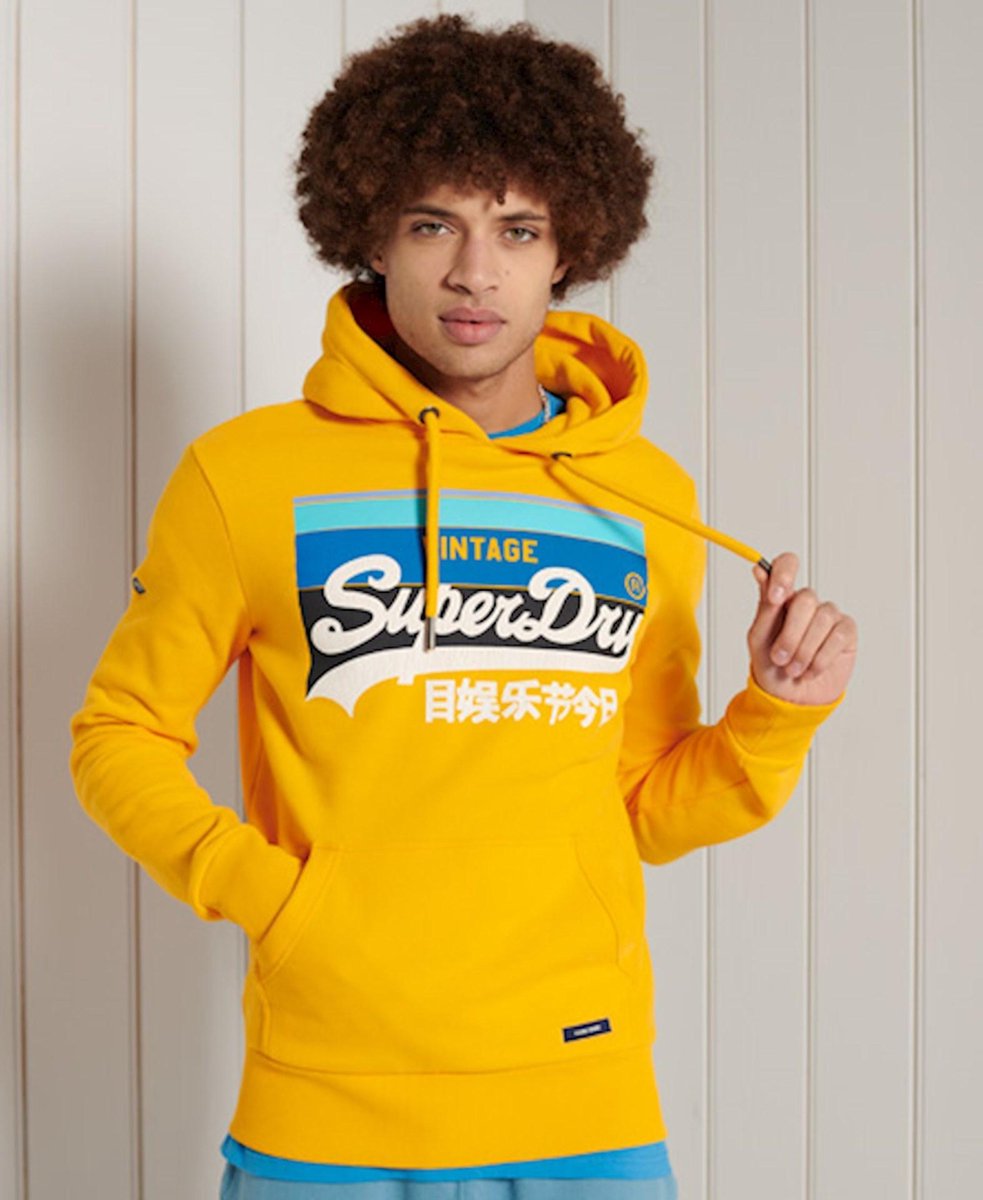 Superdry Heren Trui Vintage Logo Cali hoodie met strepen