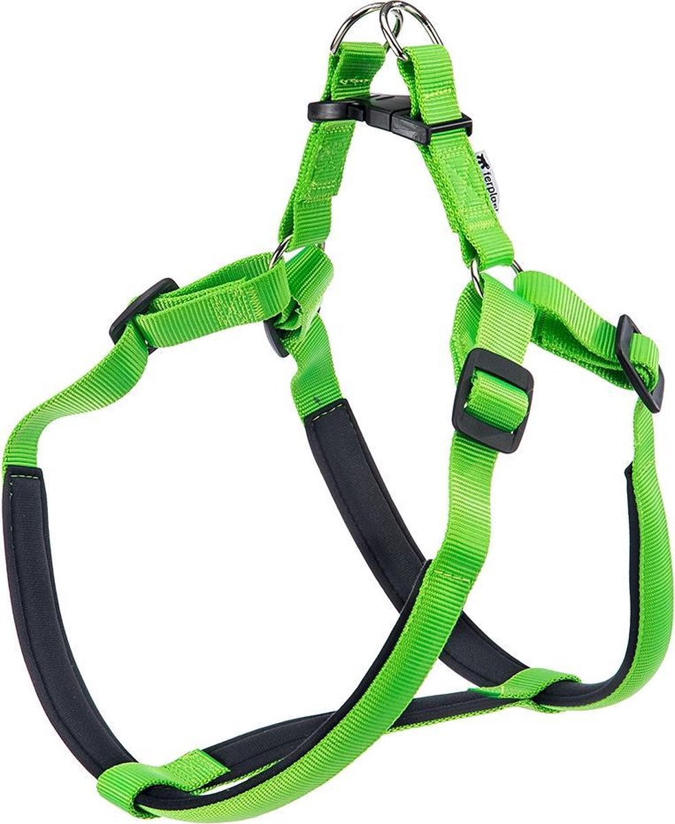 Daytona p xl harnais vert
