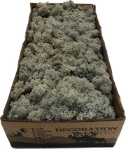 MosBiz Rendiermos Grijs per 500 gram voor decoraties