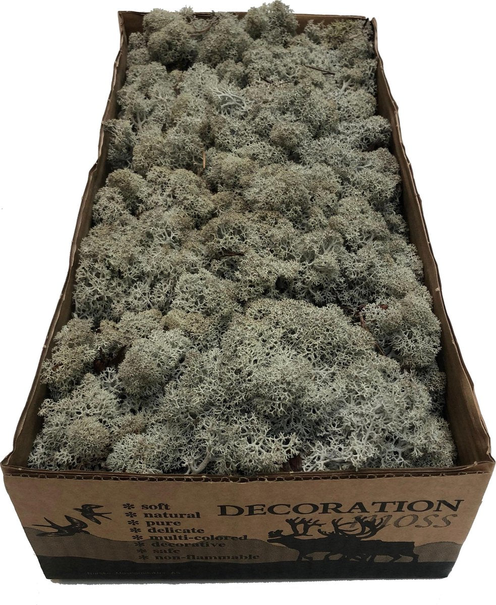 MosBiz Rendiermos Grijs per 500 gram voor decoraties