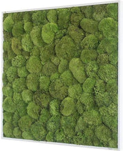 Stylegreen Verticale tuin - Pole moss - 80 x 80cm