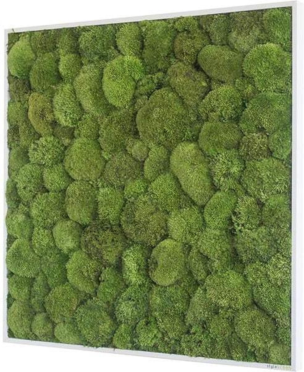 Stylegreen Verticale tuin - Pole moss - 80 x 80cm
