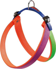 Agila colors 3 harnais viol-or