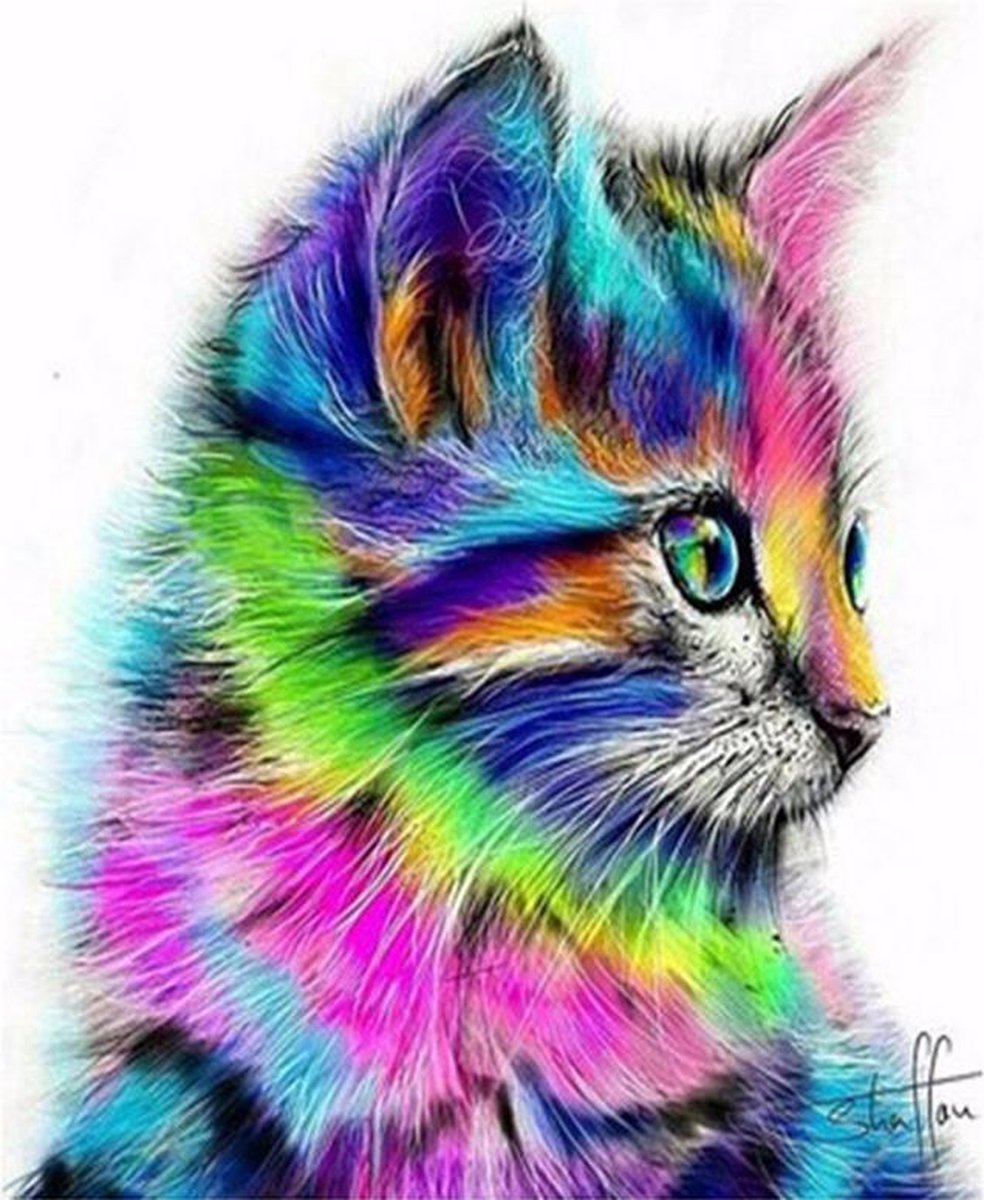 Diamond Painting Volwassenen - Poes of Kat  Multicolor - 40x50 cm (Volledige Bedekking) - Inclusief Premium Tools