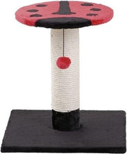 Flamingo Krabpaal Beetle  - Rood/Zwart - 38 x 38 x 40cm