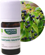 Phytosun Essentiële Olie Ravintsara Bio – tegen burn out 5ml