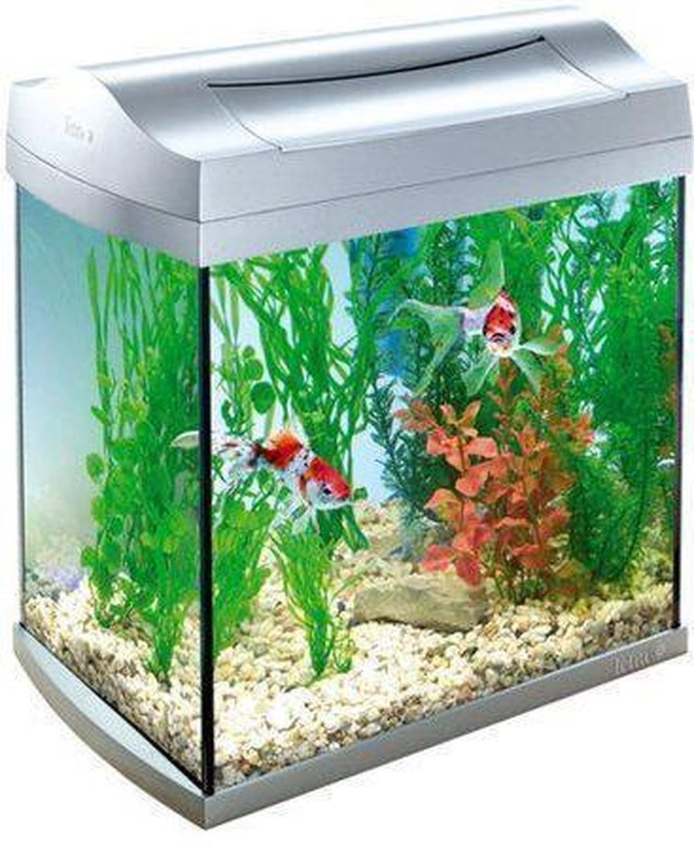 Tetra Aqua Art Aquarium - 35x35x25 cm - 30L - Zilver