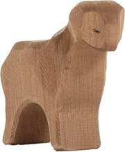 Sheep brown standing