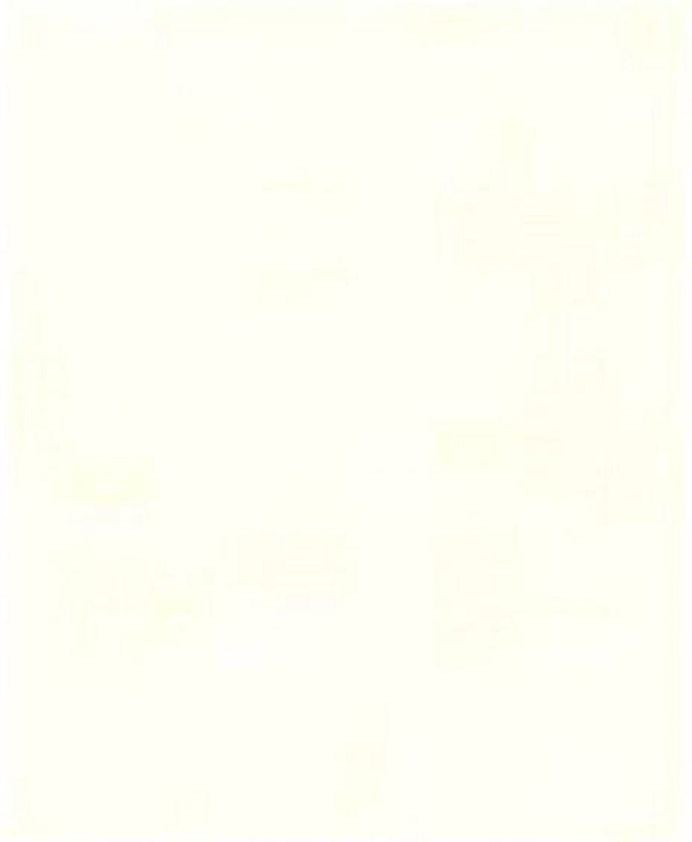 Planet Happy Papier A4 120gr 100 vel wit