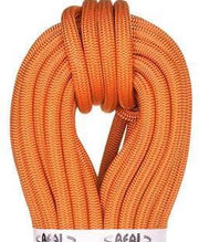 Beal Wall Master 10