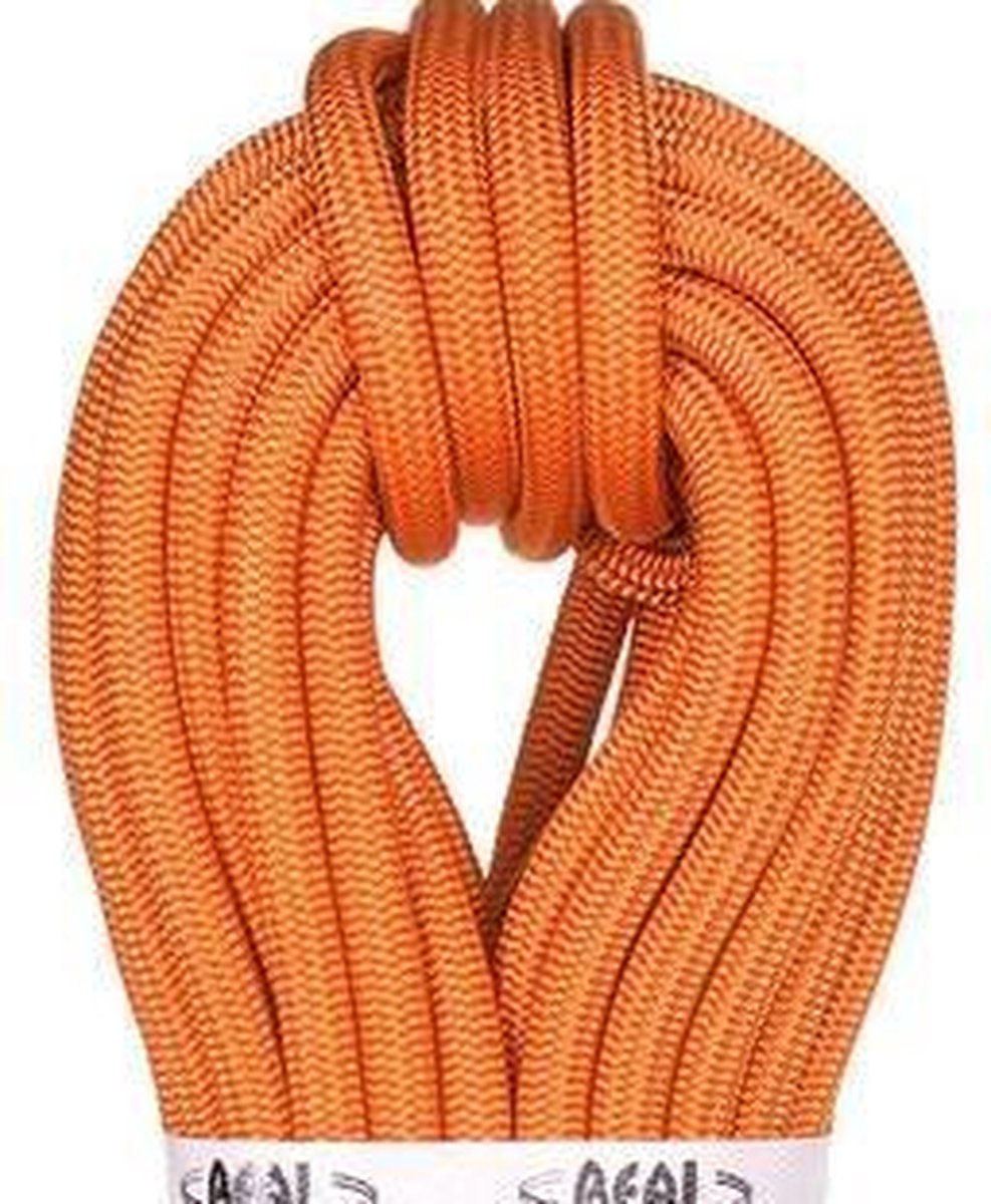 Beal Wall Master 10