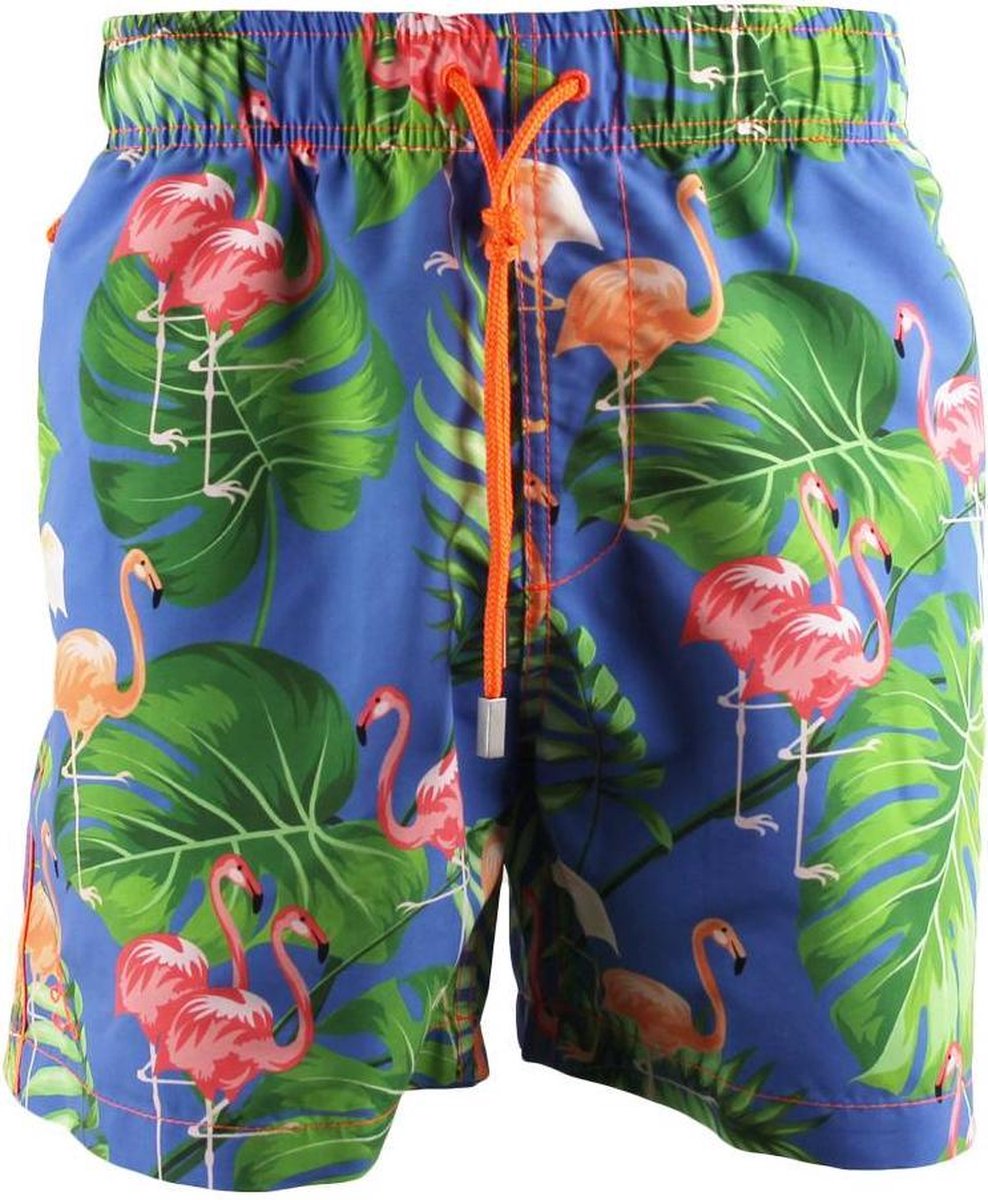 Ramatuelle Zwembroek Heren - Antilles Zwembroek - Maat S  - Kleur  Blauw / Cornflower