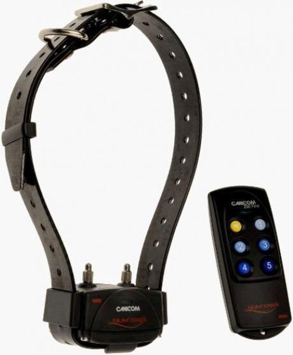 Numaxes canicom 200 first remote trainer