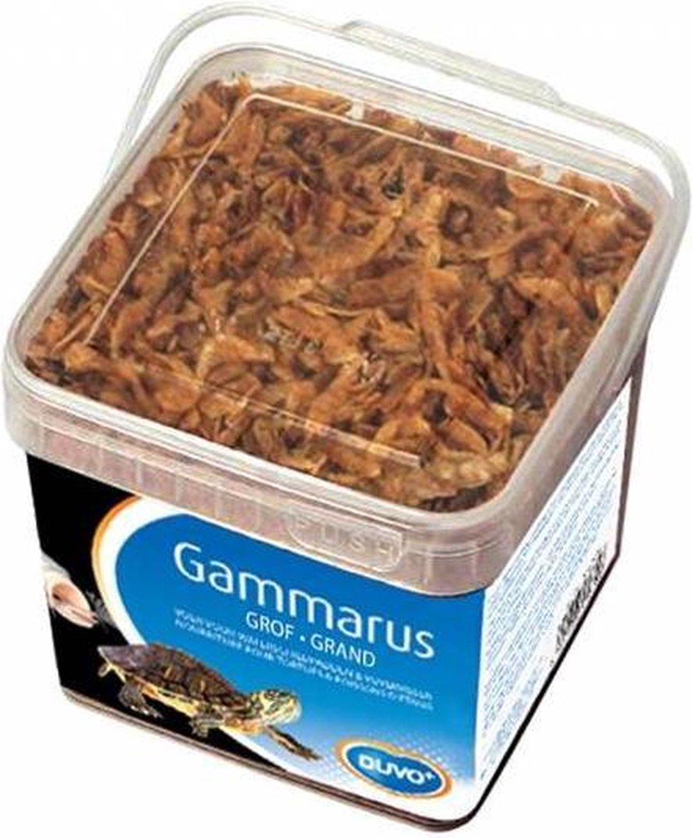 Duvo - Gammarus Grof - 2