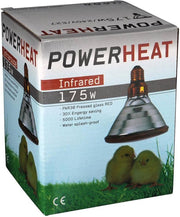 Warmtelampen PAR 175 watt
