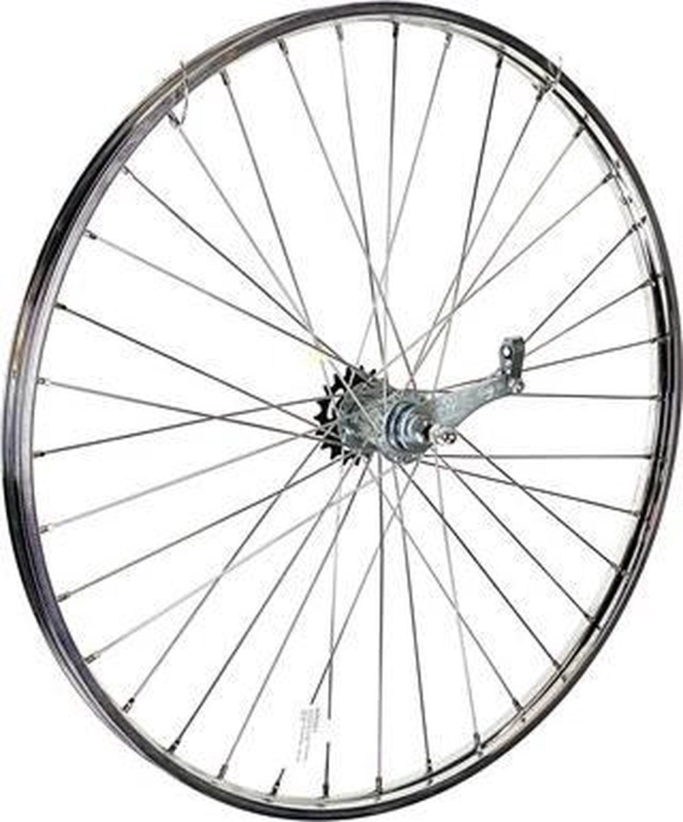 Roland Achterwiel 28 Inch (22-622) Terugtraprem 36g Rvs Chroom