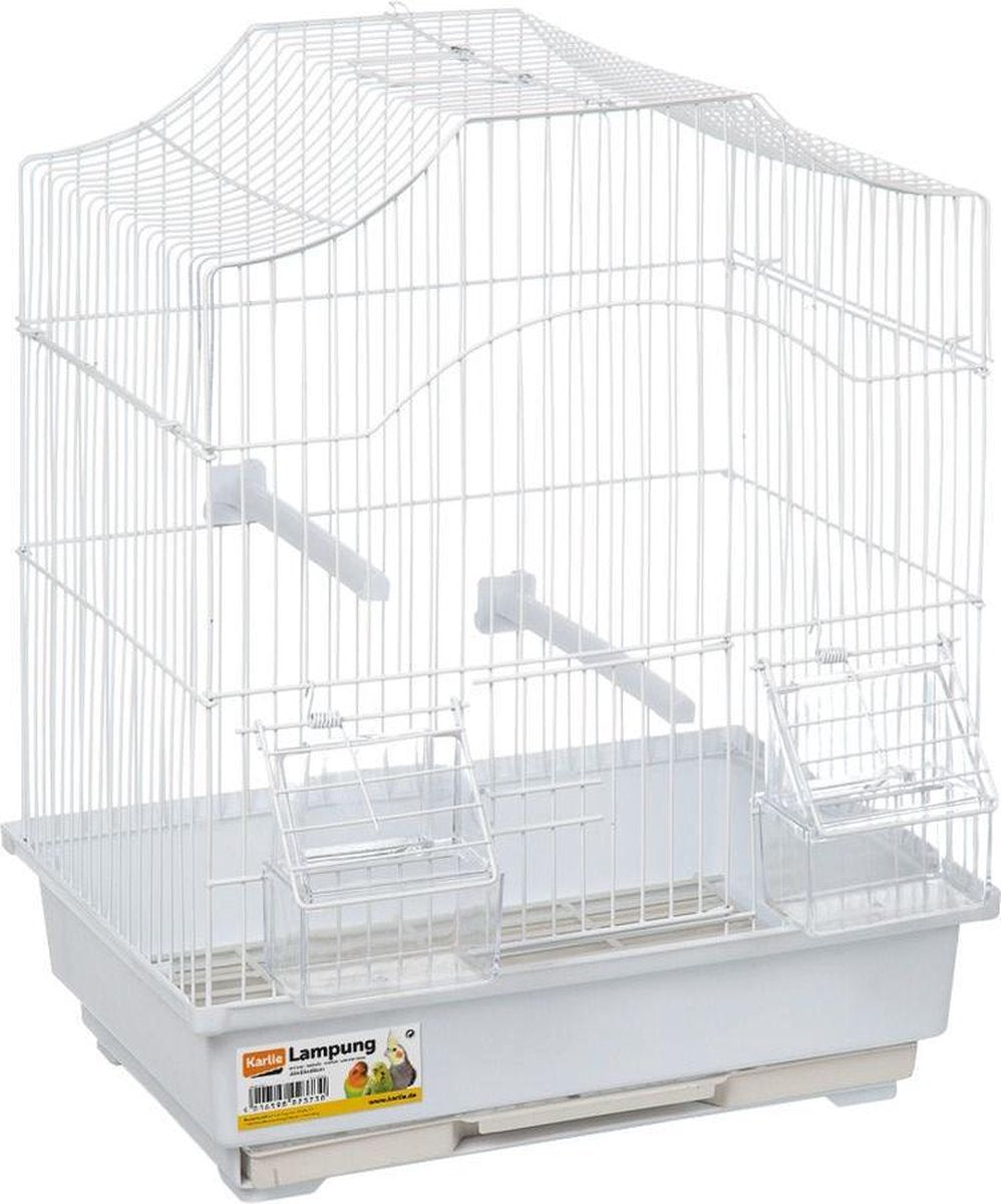 Bird cage lampung