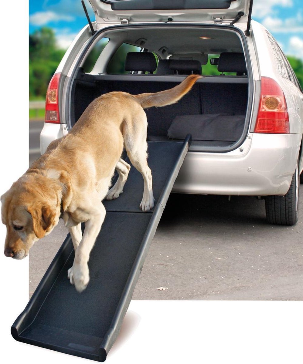 Dog ramp gentle step 154x39x14cm