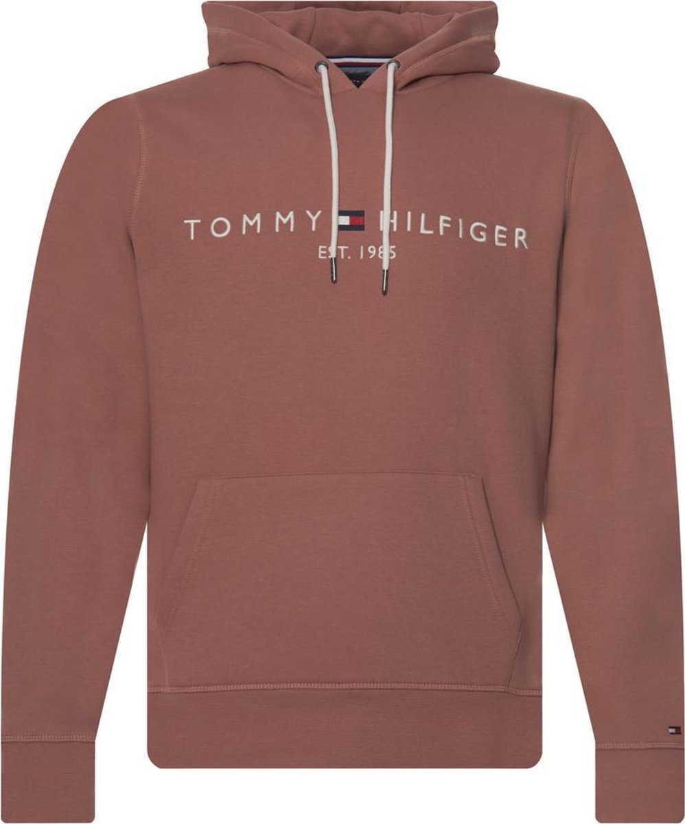 Tommy Hilfiger Menswear Hoodie Heren
